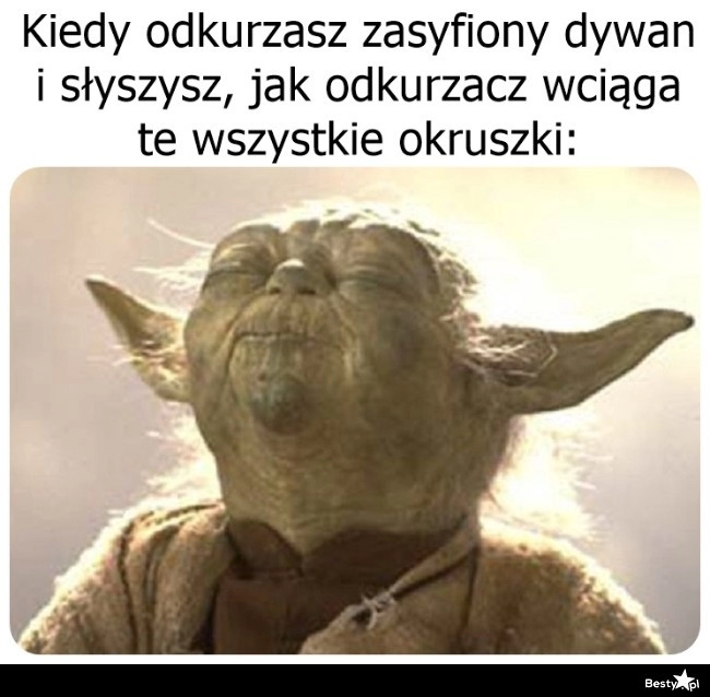 
    Piękna symfonia 