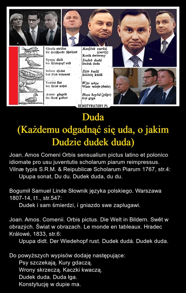 
    Duda
(Każdemu odgadnąć się uda, o jakim Dudzie dudek duda)