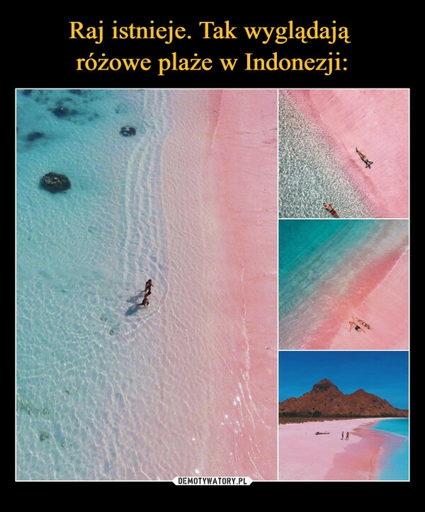 
    Raj istnieje. Tak wyglądają 
różowe plaże w Indonezji: