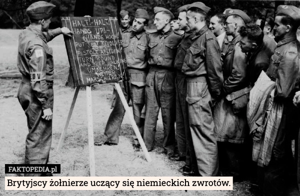 
    Brytyjscy żołnierze uczący się niemieckich zwrotów.