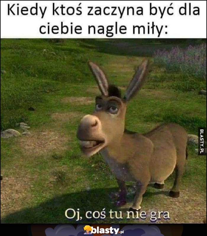 
    Kiedy ktoś zaczyna być dla ciebie nagle miły: oj coś tu nie gra osioł Shrek