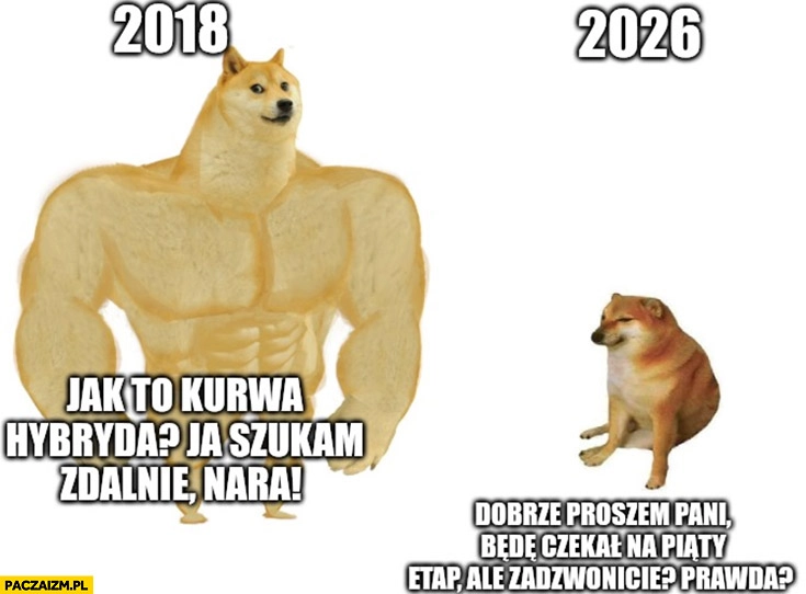 
    Programista w 2018: jak to hybryda, szukam zdalnie, nara vs 2026 dobrze będę czekał na piąty etap rekrutacji pies pieseł doge cheems