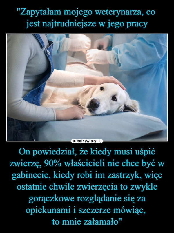 
    "Zapytałam mojego weterynarza, co 
jest najtrudniejsze w jego pracy On powiedział, że kiedy musi uśpić zwierzę, 90% właścicieli nie chce być w gabinecie, kiedy robi im zastrzyk, więc ostatnie chwile zwierzęcia to zwykle gorączkowe rozglądanie się za opiekunami i szczerze mówiąc, 
to mnie załamało"