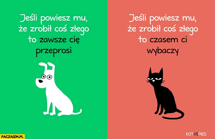 
    Jeśli powiesz mu, że zrobił coś złego pies zawsze Cię przeprosi, kot czasem ci wybaczy. Kot vs pies