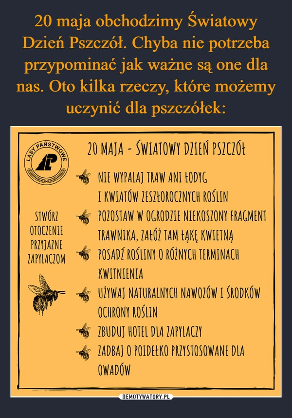 
    20 maja obchodzimy Światowy Dzień Pszczół. Chyba nie potrzeba przypominać jak ważne są one dla nas. Oto kilka rzeczy, które możemy uczynić dla pszczółek: