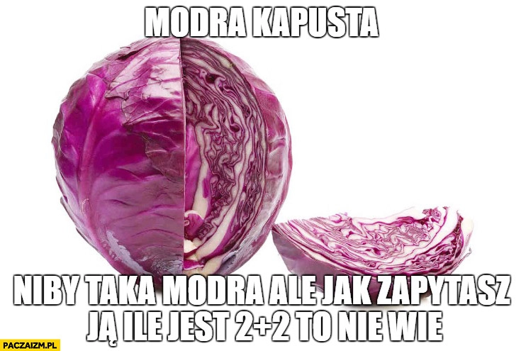 
    Modra kapusta niby taka modra, ale jak zapytasz ją ile jest 2 plus 2 to nie wie