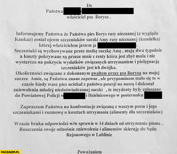 
    Pismo alimenty dla szczeniaków do właścicieli psa Borysa