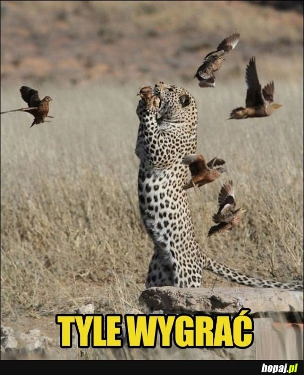 
    Ale fart