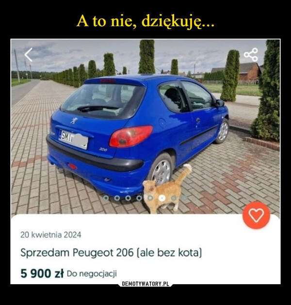 
    A to nie, dziękuję...