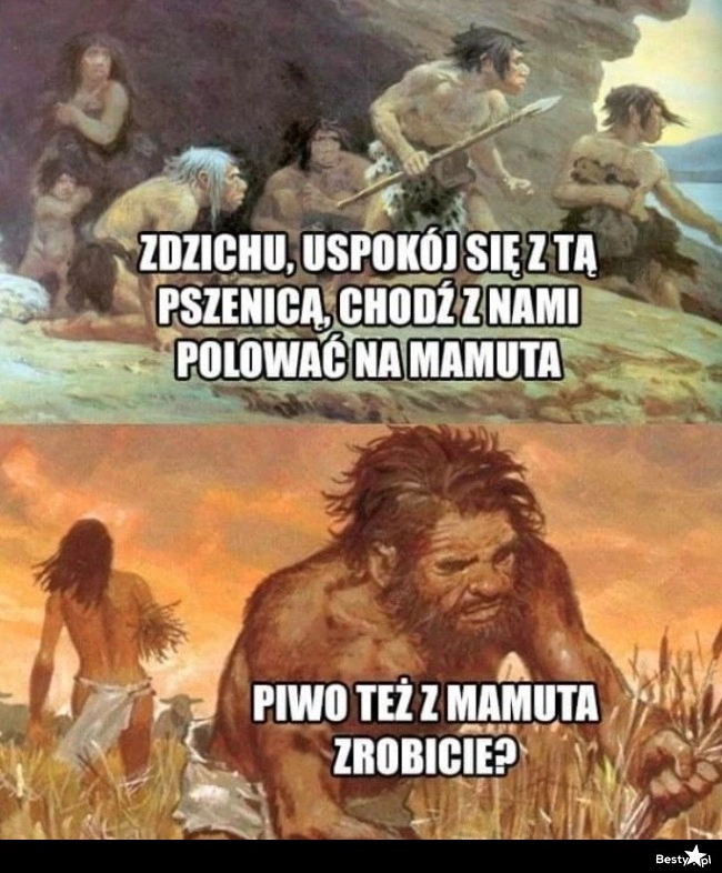 
    Uprawa pszenicy też jest ważna 