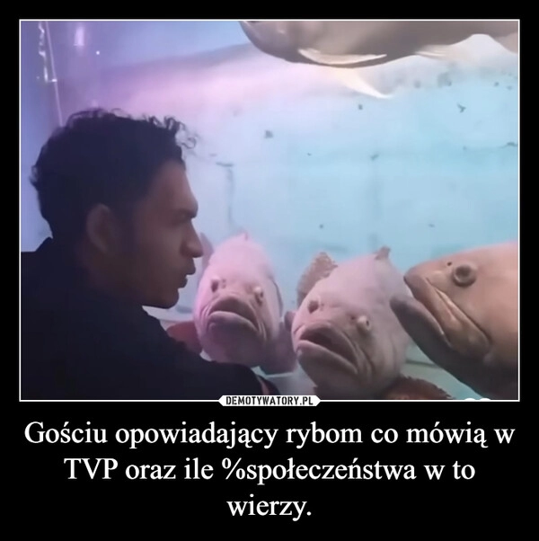 
    Gościu opowiadający rybom co mówią w TVP oraz ile %społeczeństwa w to wierzy.