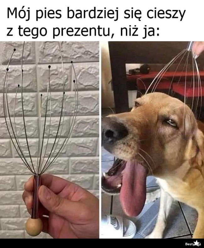 
    No to będzie dla pieska 