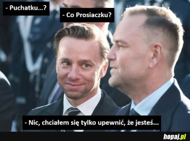 
    Puchatek
