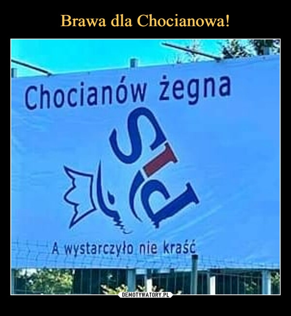 
    Brawa dla Chocianowa!