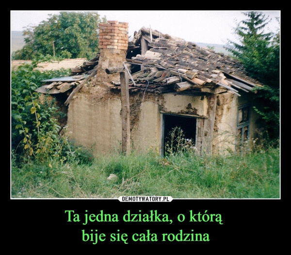 
    Ta jedna działka, o którą 
bije się cała rodzina