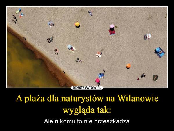 
    A plaża dla naturystów na Wilanowie wygląda tak: