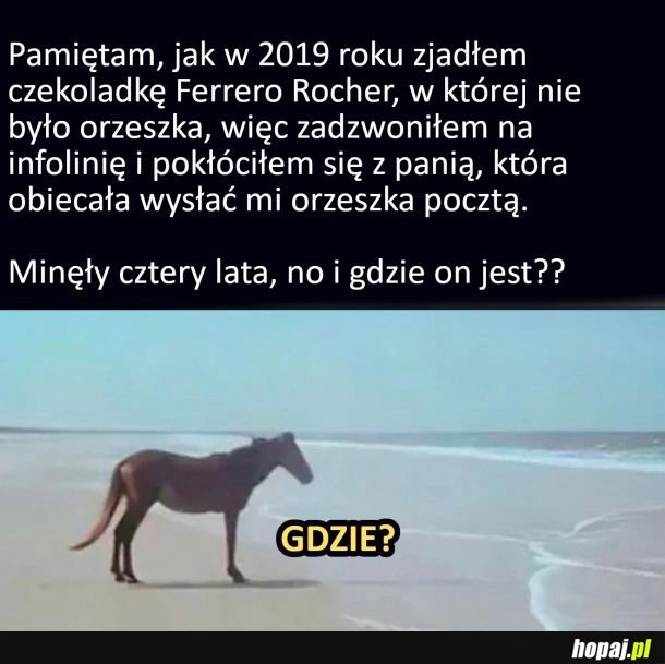 
    Obiecali orzecha a orzecha dalej nie ma