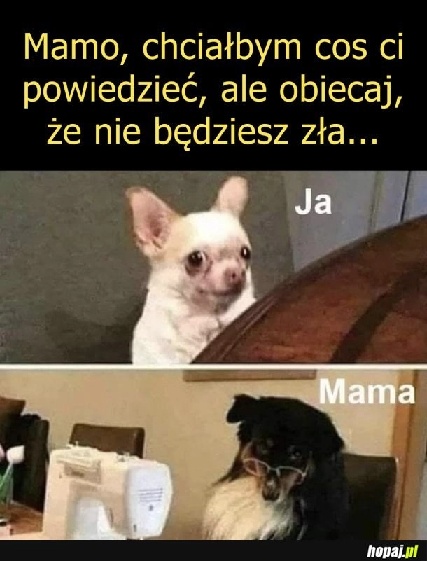
    Chyba będzie