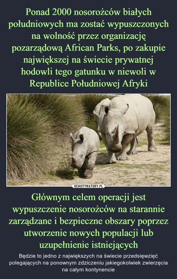 
    Ponad 2000 nosorożców białych południowych ma zostać wypuszczonych na wolność przez organizację pozarządową African Parks, po zakupie największej na świecie prywatnej hodowli tego gatunku w niewoli w Republice Południowej Afryki Głównym celem operacji jest wypuszczenie nosorożców na starannie zarządzane i bezpieczne obszary poprzez utworzenie nowych populacji lub uzupełnienie istniejących