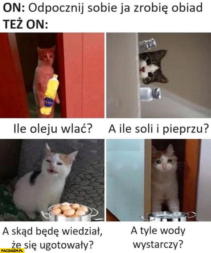 
    On: odpocznij sobie, ja zrobię obiad kot kotek, też on: ile oleju wlać, a ile soli i pieprzu? Skąd będę wiedział, że się ugotowały? Tyle wody wystarczy?