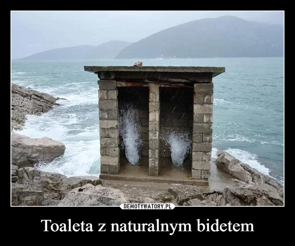 
    Toaleta z naturalnym bidetem