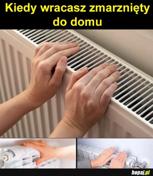 
    Powrót do domu