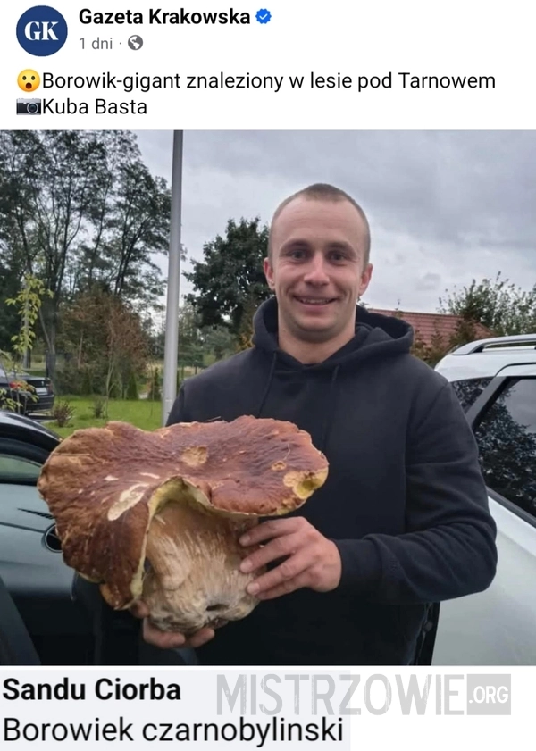 
    Borowik