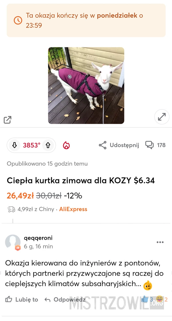 
    Kurtka dla kozy