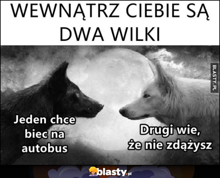 
    Wewnątrz ciebie są dwa wilki: jeden chce biec na autobus, drugi wie, że nie zdążysz