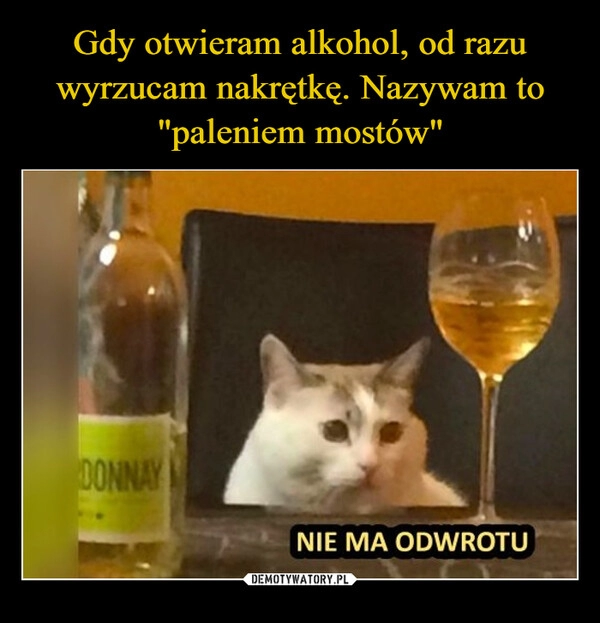 
    Gdy otwieram alkohol, od razu wyrzucam nakrętkę. Nazywam to "paleniem mostów"