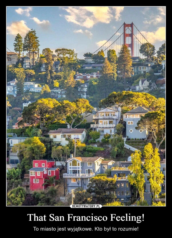 
    That San Francisco Feeling!