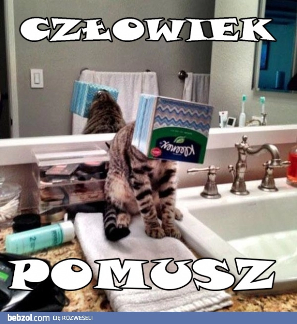 
    Pomusz...