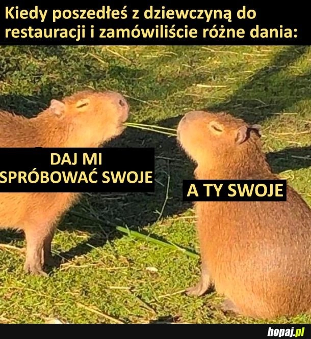 
    Próbowanie jedzonka