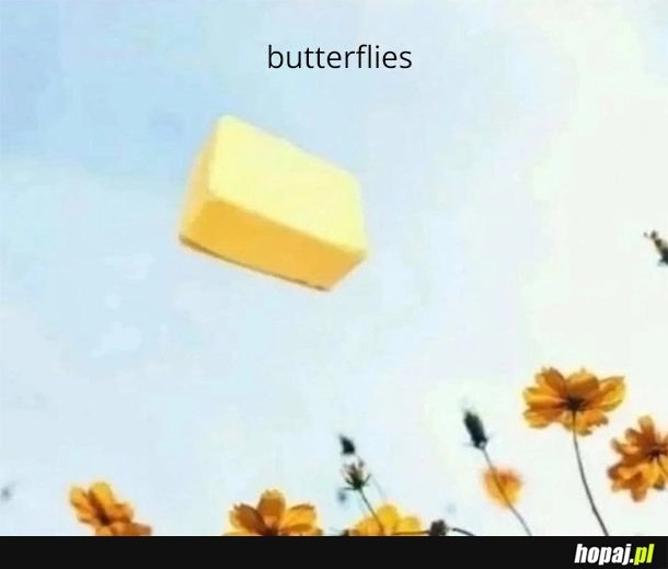 
    Butterflies