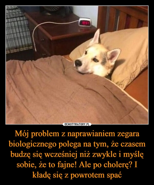 
    Mój problem z naprawianiem zegara biologicznego polega na tym, że czasem budzę się wcześniej niż zwykle i myślę sobie, że to fajne! Ale po cholerę? I kładę się z powrotem spać