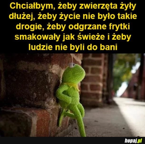 
    Tego chcę
