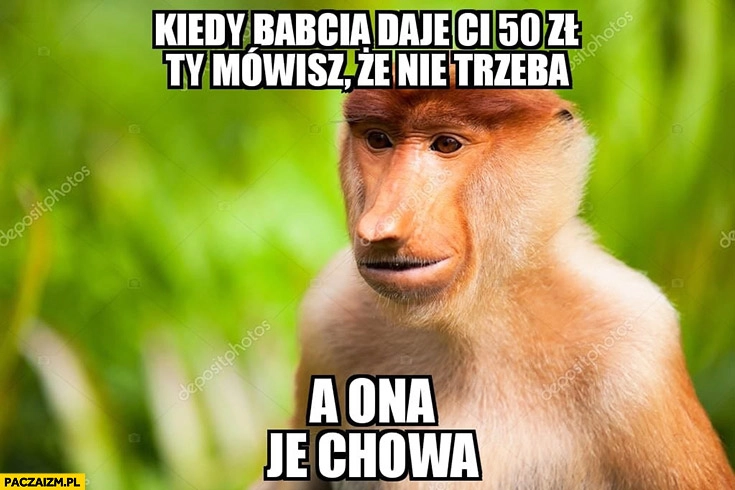 
    Kiedy babcia daje Ci 50zł Ty mówisz, że nie trzeba a ona je chowa typowy Polak nosacz małpa