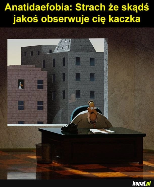 
    Kaczka