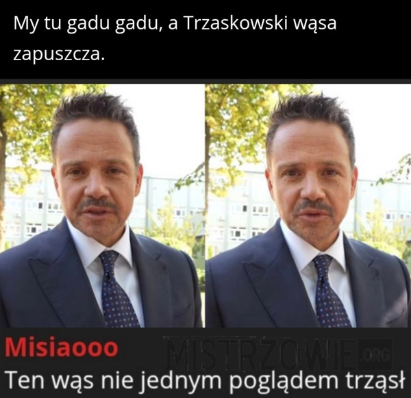 
    Wąs