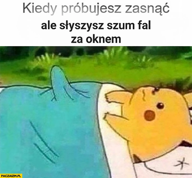 
    Kiedy próbujesz zasnąć ale słyszysz szum fal za oknem pikachu