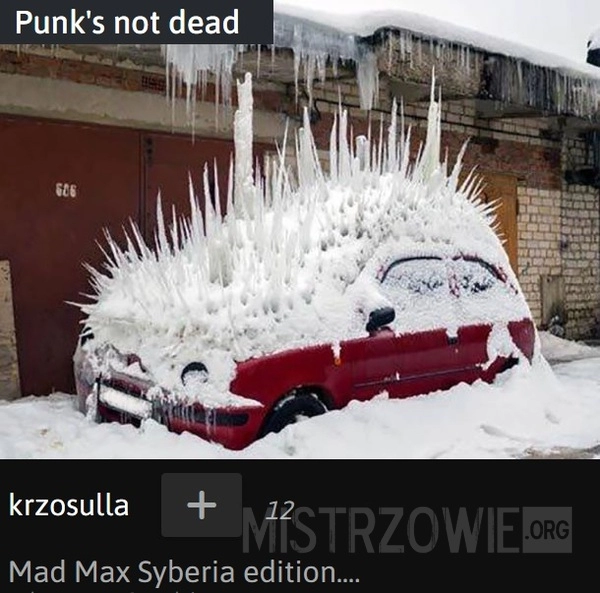 
    
			Punk's not dead					