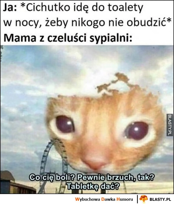 
    Ja cichutko idę w nocy do toalety, żeby nikogo nie obudzić, mama z czeluści sypialni: co cię boli, pewnie brzuch? Tabletkę dać?