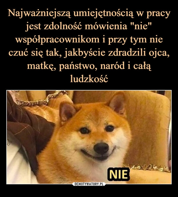 
    Najważniejszą umiejętnością w pracy jest zdolność mówienia "nie" współpracownikom i przy tym nie czuć się tak, jakbyście zdradzili ojca, matkę, państwo, naród i całą ludzkość