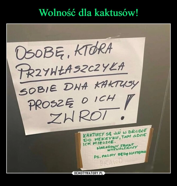 
    Wolność dla kaktusów!