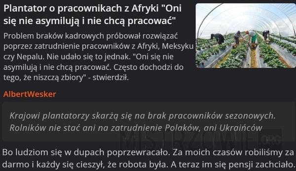 
    Pracownicy