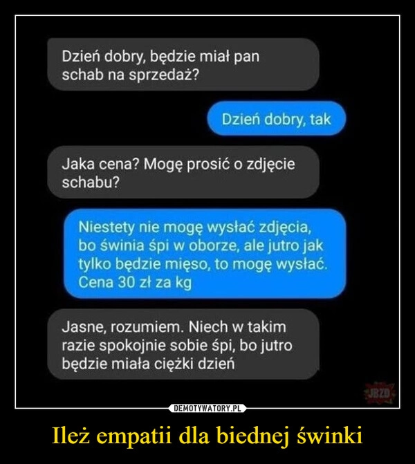 
    Ileż empatii dla biednej świnki
