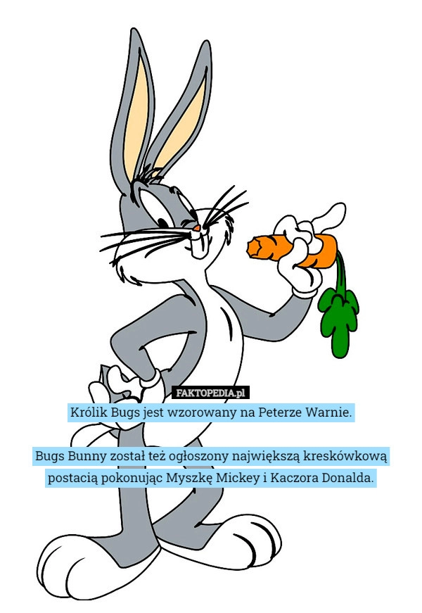 
    
			Królik Bugs jest wzorowany na Peterze Warnie. Bugs Bunny został też ogłoszony					