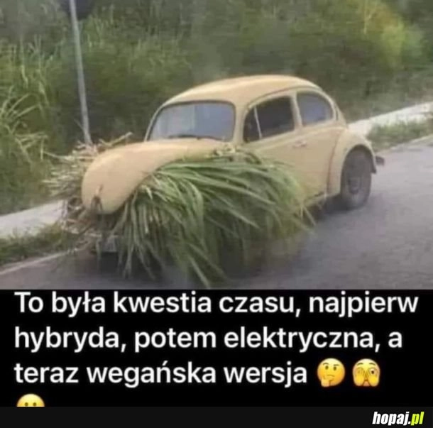 
    Było do przewidzenia