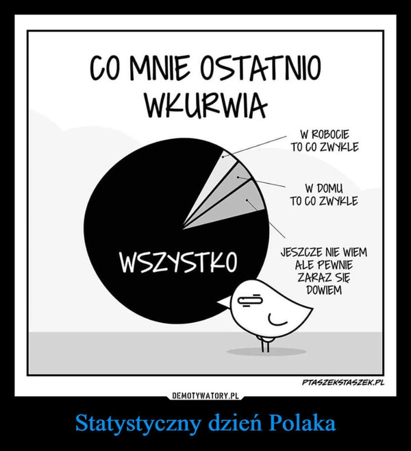 
    Statystyczny dzień Polaka