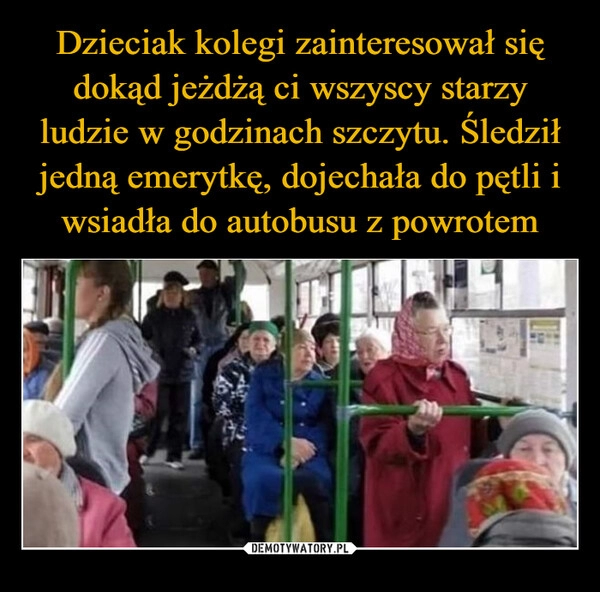 
    Dzieciak kolegi zainteresował się dokąd jeżdżą ci wszyscy starzy ludzie w godzinach szczytu. Śledził jedną emerytkę, dojechała do pętli i wsiadła do autobusu z powrotem